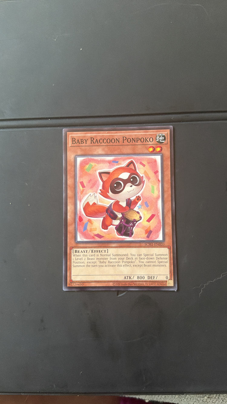 Yu-Gi-Oh Baby Raccoon Ponpoko SCH1 - EN020 Common